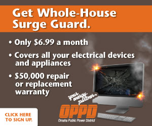 Residential Surge Guard